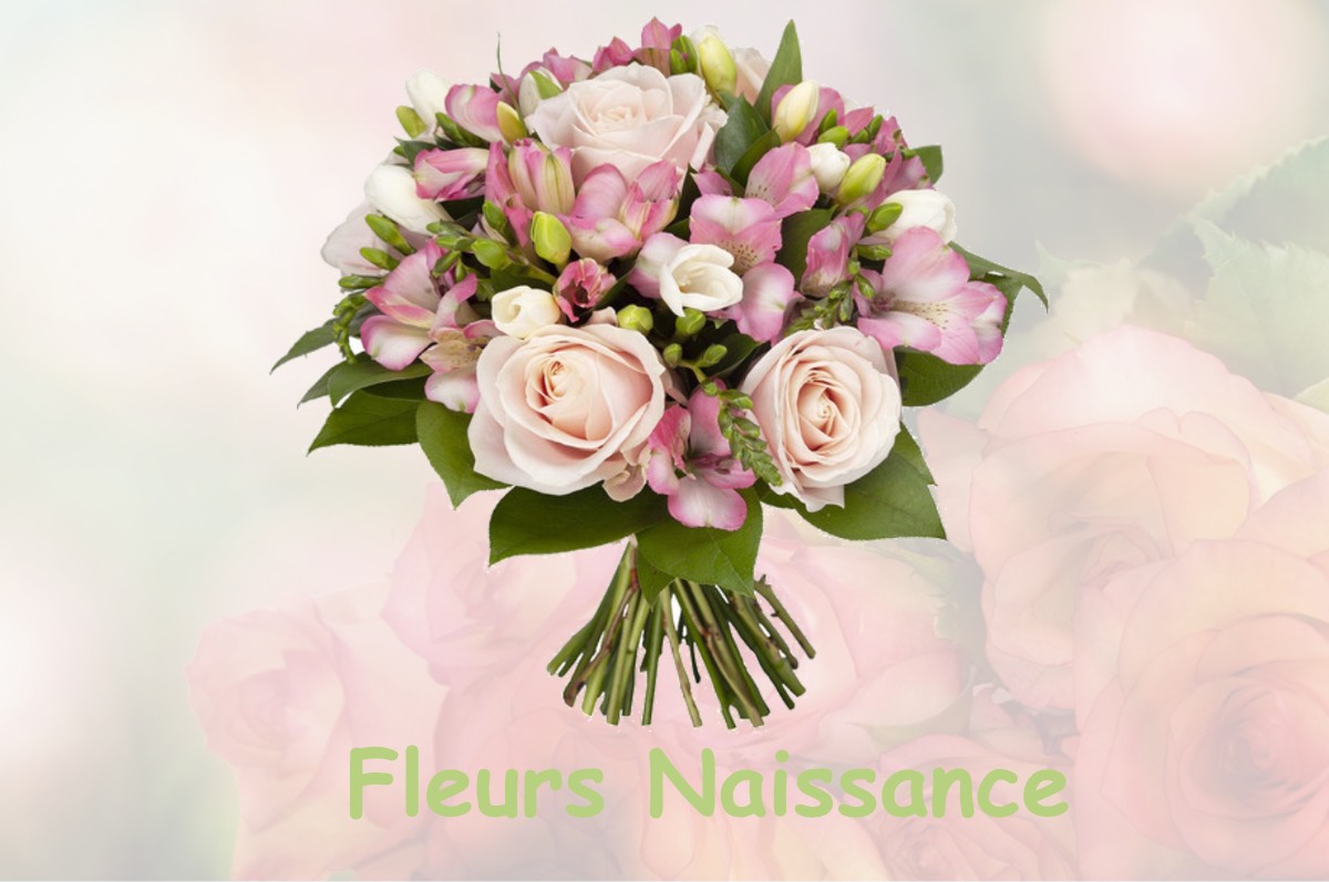 fleurs naissance SAINT-MARCEL-PAULEL