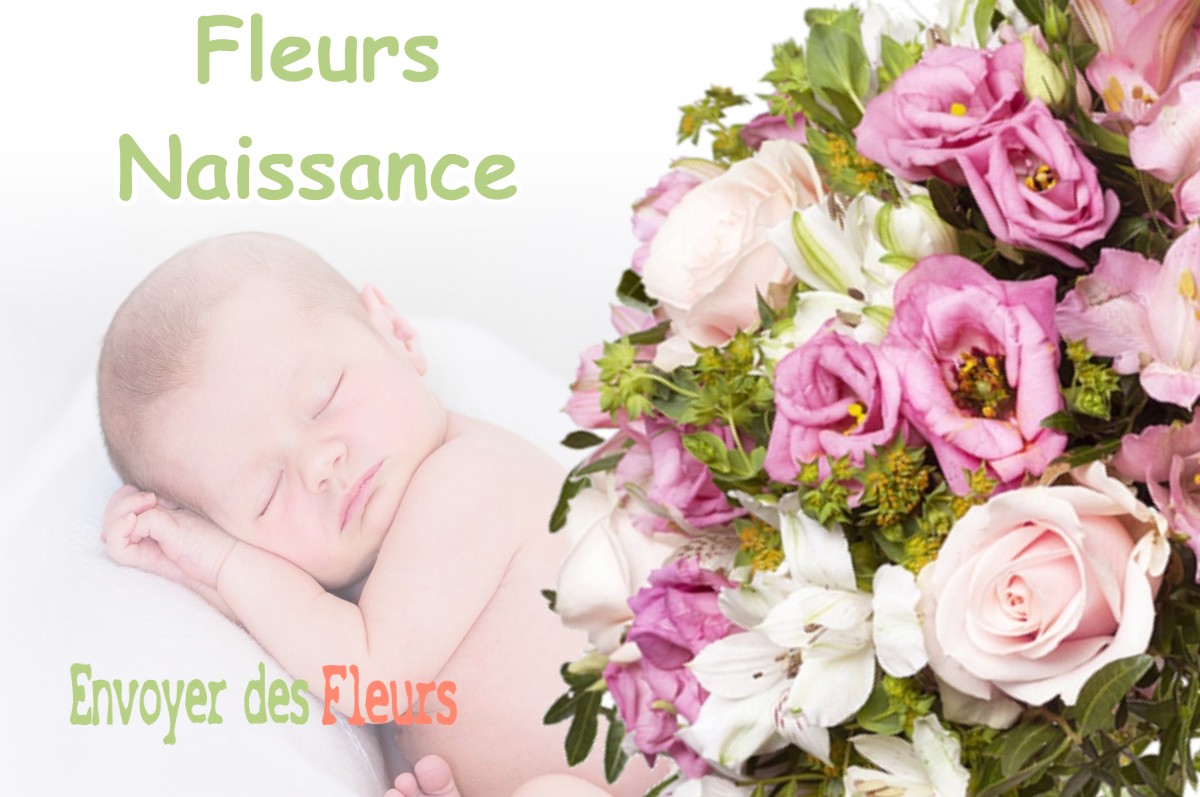 lIVRAISON FLEURS NAISSANCE à SAINT-MARCEL-PAULEL